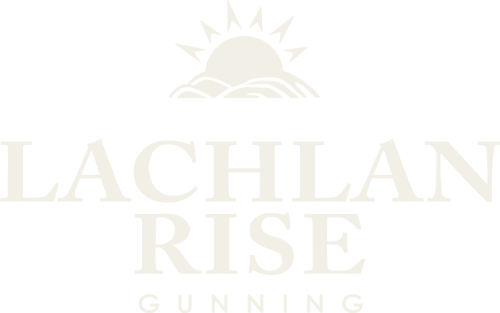 McCann Properties - logo